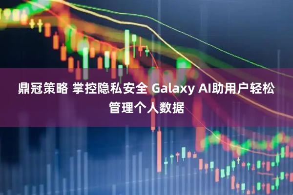鼎冠策略 掌控隐私安全 Galaxy AI助用户轻松管理个人数据