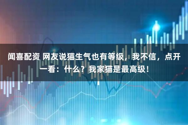 闻喜配资 网友说猫生气也有等级，我不信，点开一看：什么？我家猫是最高级！