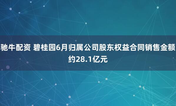 驰牛配资 碧桂园6月归属公司股东权益合同销售金额约28.1亿元
